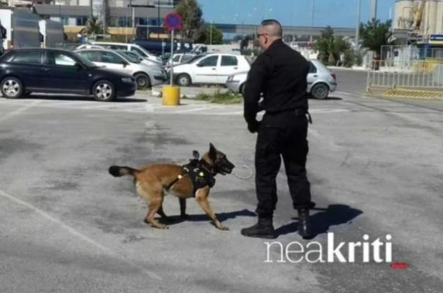 Τραυματίστηκε, εν ώρα υπηρεσίας, η Μίσα, το σκυλί – καμάρι του Λιμενικού Σώματος της Κρήτης